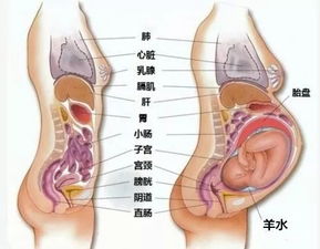 1）初期没有神经元