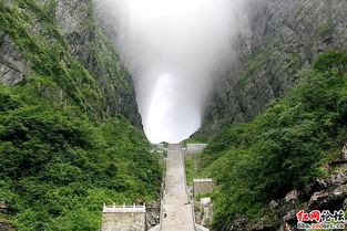 天门山门票采购指南