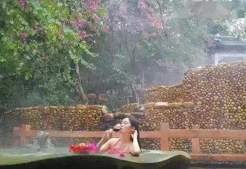 双悦：不是简洁的喜悦啦