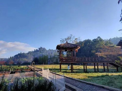 1. 溪绩必打卡景点：挤成肉饼也要去！