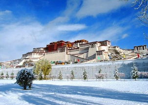 天气预报与门票价格的玄学关系