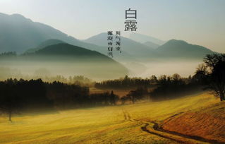 白露过后天气要闹哪样