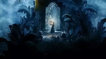 星座与风水的双重打击