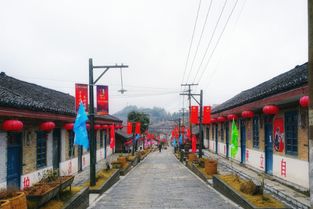 噪音插曲：街头小贩的叫卖声与山谷回响
