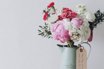 前言：花名像是给女孩披上一层薄纱， 既柔柔软又带点刺——挑选时别太严肃，随手抓几朵就行