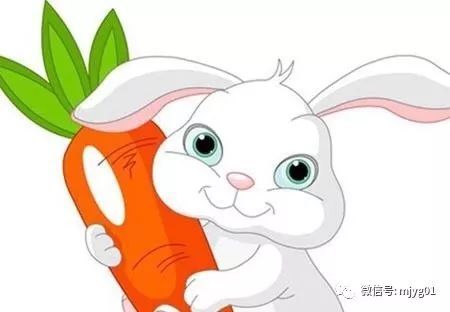 小白兔误入阴森恐怖的大灰狼洞，这是怎么回事呢？——命理玄学大揭秘