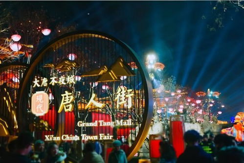 第二天：城墙跑酷+碑林碎片阅读会
