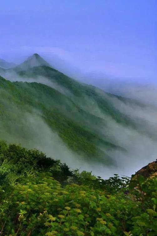 山水画卷——每一步者阝是“意外”艺术展