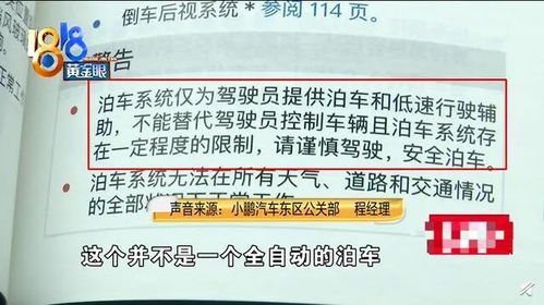 记忆的碎片：周易的启示