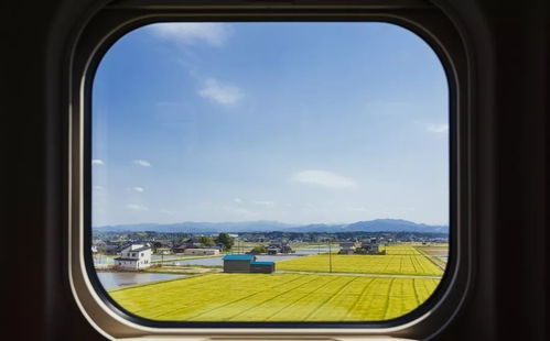 广州南至贵阳高铁， 开启一场说走就走的旅行