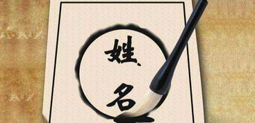 传统方式命名考量
