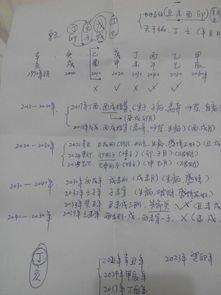 八字妻星与妻宫,八字妻宫在哪里