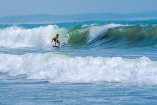 冲浪技巧：从菜鸟到菜鸡