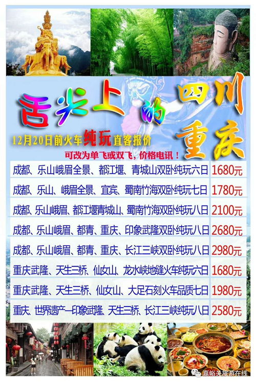 第五天——收官冲刺版：购物狂欢+温泉放松+返程反思