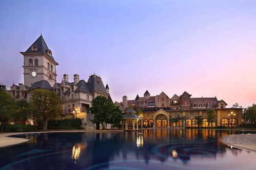 真实惨案：2023年8月张家的灾难