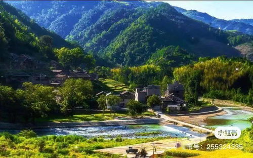 乡村之美：诗情画意尽在田间