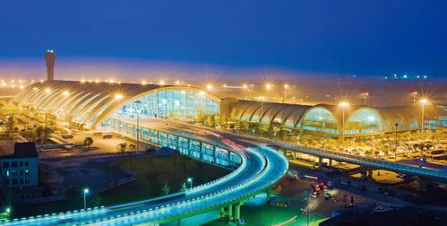 震惊！成都机场惊现神秘组织，竟能操控游客命运！