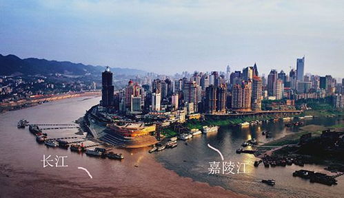 震惊！2026年重庆旅游团黑幕大曝光！本地人看了都流泪