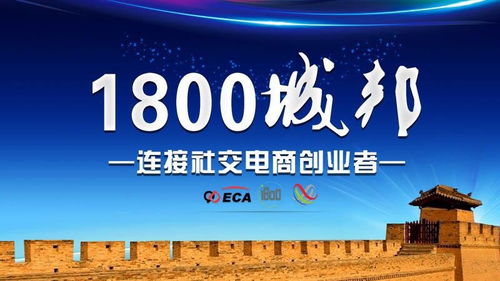 3.1 “年轻巧化老人”才是核心玩家？