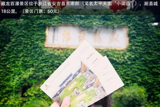 小贴士：如何假装当地人