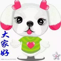 2026年属狗狮子运势如何？生肖狗2026年运势解析具体是什么？