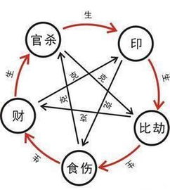 八字中的引动究竟是指什么具体含义？