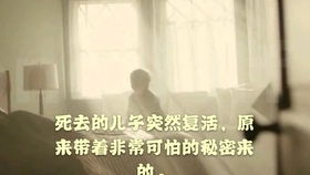生命的代价