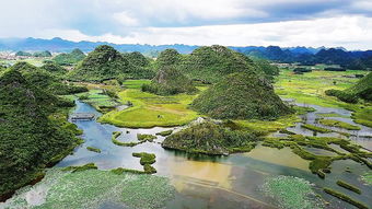 奇葩体验（随意）