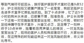 中庸论者：