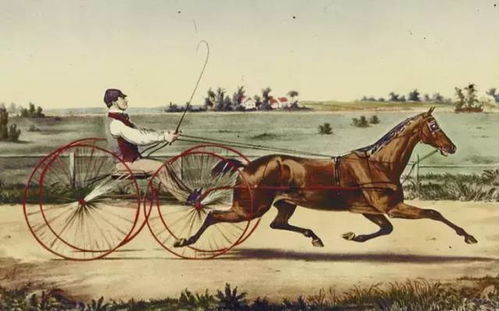 灰姑娘的南瓜马车：一场被诅咒的舞会