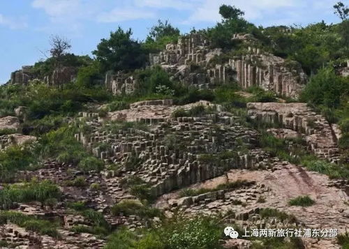 门票优惠真相：别被“低价”忽悠！这些细节比价格梗重要