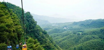 蜀南竹海：绿色地狱