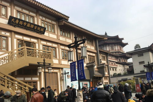七、 未来展望与挑战