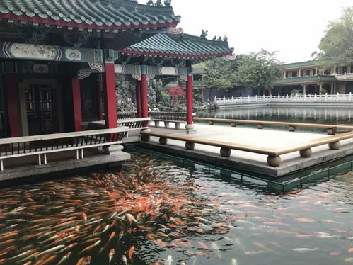 院子装修风水,院子装修风水