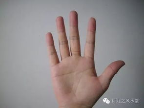 2．阴阳五行：把握灵气与血脉