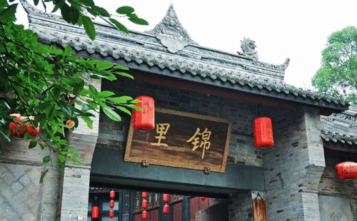 装备建议：带够钱和命