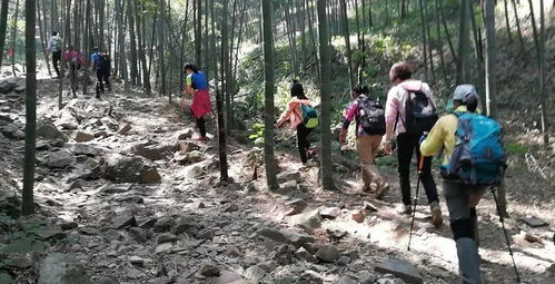 原本六人 ， 队友还是更少了点 ，希望再招募几个伙伴加入 , 这是因为我觉得每次爬山或者徒步七八个人会更有意思一些