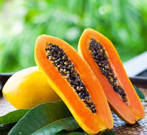 在风水楼顶种植木瓜是否合适？