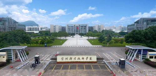 五、  就业率的迷雾：数字背后的真相