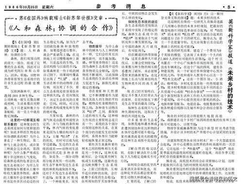 四、 情感碎片：我的青岛二日记忆拼图