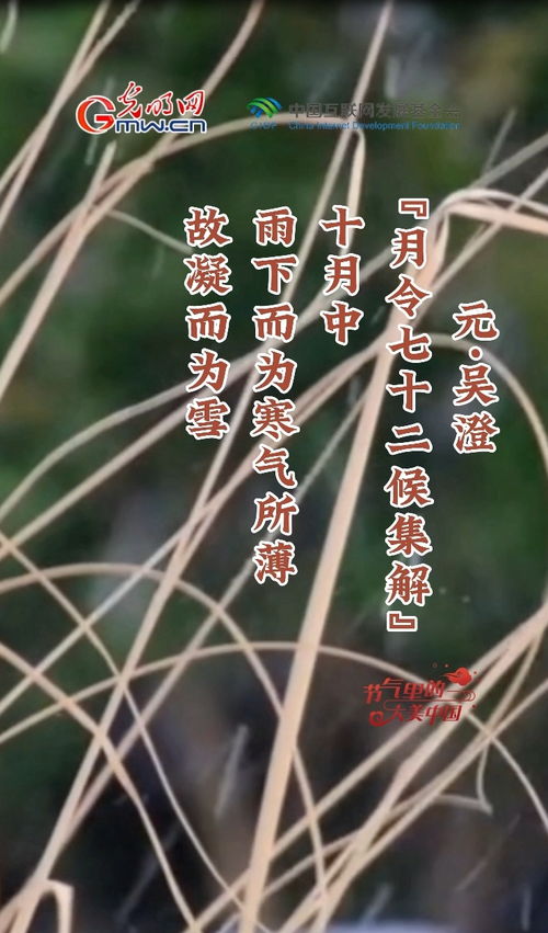 “小雪时节，寒意渐浓，习俗风情，养生指南”