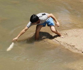 孕妇为什么会频繁梦见自己在水里捉鱼呢？