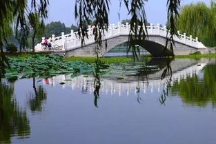 5）四季园—一年四季都有不同