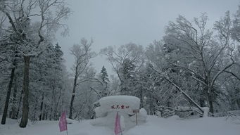 一日游能行？累成狗，但爽翻天