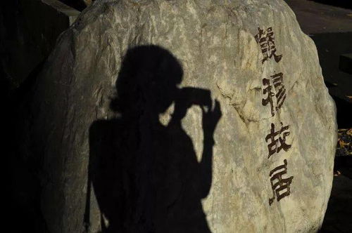 现代社会面临的挑战