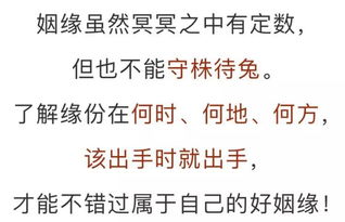 测真命天子姓氏吉凶，如何分析姓氏的吉凶信息？