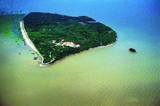 君山岛：不是“喜欢情岛”，  是候鸟写的散文诗