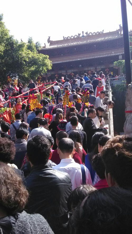 对抗性观点：江景房的“溢价”到底值不值？