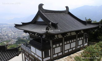 4.1 较大猫咪目击报告（未经证实）