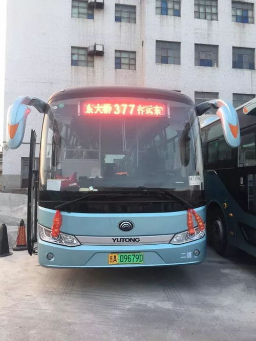 南山？那有什么好玩的？